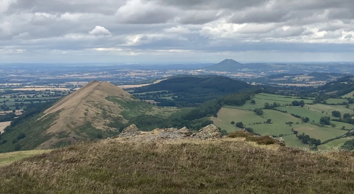 February Ramblings 2026