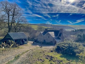 February Ramblings 2025