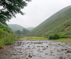 Shropshire Winter Rambles