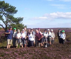 North Yorkshire Moors Walking Weekend