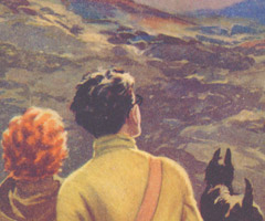 February Ramblings 2020