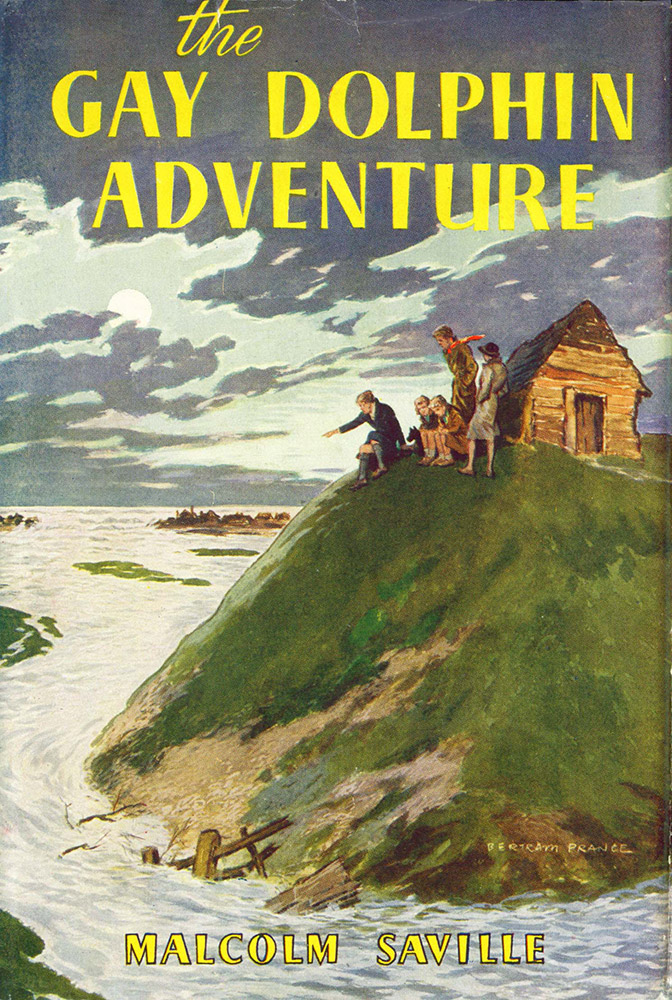 The Gay Dolphin Adventure