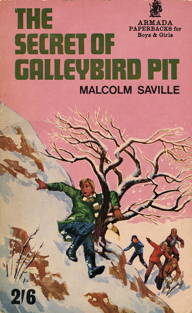 The Secret of Galleybird Pit