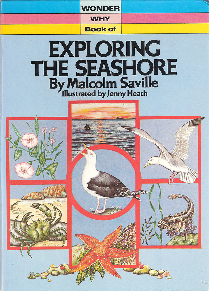 Wonder Why Book of Exploring the Seashore