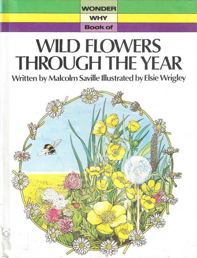 Wonder Why Book of Wild Flowers Through the Year