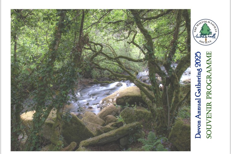 Devon Gathering 2025