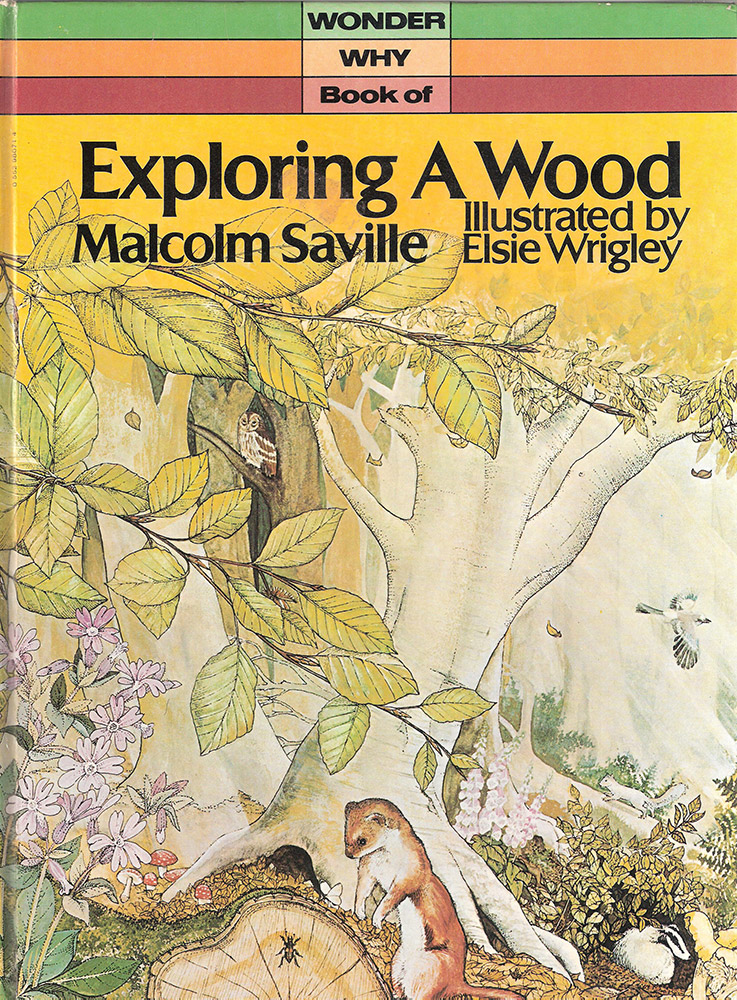 Wonder Why Book of Exploring a Wood