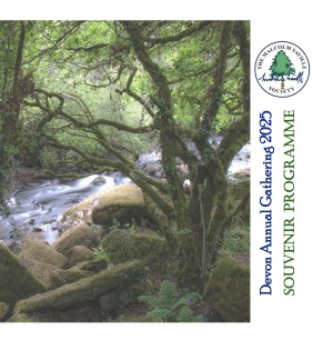 Devon Gathering 2025